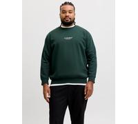 Plus Size Gedruckt Sweatshirt EU2XL US1L Scarab