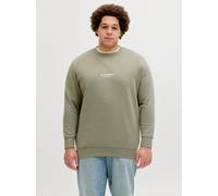 Plus Size Gedruckt Sweatshirt EU4XL US2XL Grau