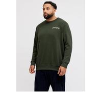 Plus Size Gedruckt Sweatshirt EU4XL US2XL Grün