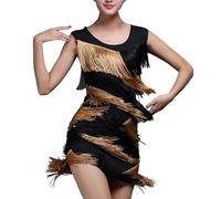POIUIYQA Damen Glänzende Pailletten Kleider Mit Quaste V-Ausschnitt Tanzkleid Fransenkleid Samba Tango Latin Kleid Quastenrock Wettbewerb Kostüme Kleid mit Quasten