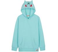 Pokemon Pullover Jungen Hoodie, Pikachu Kapuzenpullover für Mädchen, Langarm mit Kängurutasche, Geschenke für Kinder Teenager (9-10 Jahre, Turquoise Bulbasaur)