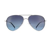 Polaroid Aviator Herren Ruthenium grau Gradient polarisierte Sonnenbrille Einheitsgröße