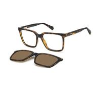 POLAROID Brille PLD D556/C Größe 54-17 mm Havana/Eye size: 54 - Bridge size: 17