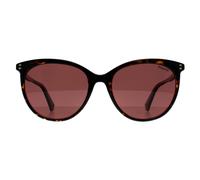 Polaroid PLD 6231/S 086 KL havanna violett polarisierte Sonnenbrille Einheitsgröße