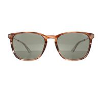 Police Square Herren Glänzend Gestreift Braun Grün SPLD47 Code 4 Einheitsgröße