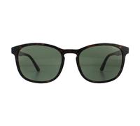 Police Square Mens Shiny Havana Green Sonnenbrille Einheitsgröße