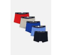 Polo Ralph Lauren - Bekleidung 5 slips-boxers classiques coton stretch - mehrfarbig - Größe L