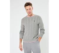 Polo Ralph Lauren Pullover SERINA in Grau EU S