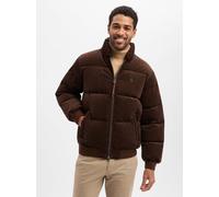 Polo Ralph Lauren Herren Daunenjacke aus Kordsamt, braun, Gr. XL