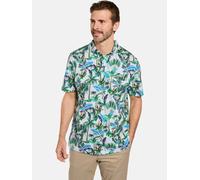 BABISTA Poloshirt Herren grün, L