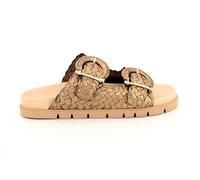 Pons quintana CAIMANS, Oassi, 36 EU