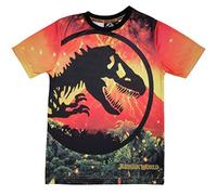 Jurassic World Lava Logo T Shirt, Kinder, 104-170, Orange, Offizielle Handelsware
