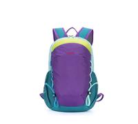 PORRASSO Leichter Rucksack Casual Schultasche Daypack Rucksäcke Groß Nylon Schulrucksack für Frauen Herren Geschäft Schule Reise Täglicher Gebrauch Lila