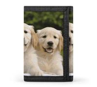 POTSCBVW Golden Retriever Puppies Geldbörse, kompakt, dreifach gefaltet, mit Schlüsselanhänger, leicht und langlebig, für draußen, Stil, Einheitsgröße, klassisch