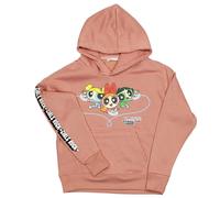 Powerpuff Girls Damen Kapuzenpullover Pullover Pink XS Rosa