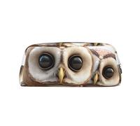 PPTHSNVB Federmäppchen mit lustigem Eulenmotiv, mit Reißverschluss, großes Fassungsvermögen, Leder, tragbare Make-up-Tasche für Damen und Herren, silber, Einheitsgröße, Druck