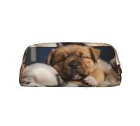 PPTHSNVB Federmäppchen mit Reißverschluss, großes Fassungsvermögen, tragbar, Make-up-Tasche für Damen und Herren, gold, Einheitsgröße, Druck