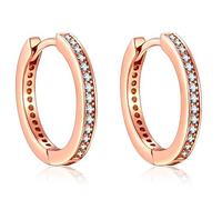 Presenski Rose Gold Creolen Damen, Kleine Earrings Kreis Ohrringe Silber 925 Creolen Zirkonia Earrings Geschenke für Mama Frauen