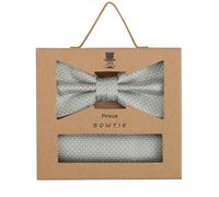 Prince Bowtie Fliegen-Set – Micro Mint Fliege & Einstecktuch – gemustert – Einheitsgröße