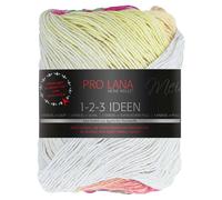 Pro Lana Pro Lana 1-2-3 Ideen 100g 014