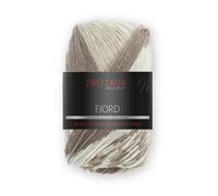 Prolana Fjord - Farbe: 81-100 g/ca. 350 m Wolle