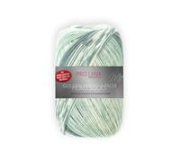 PRO LANA Fjord Socks, 75% Schurwolle 25% Polyamid, 400m 100g