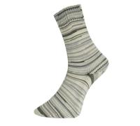 Pro Lana Golden Socks 4-fach Schönwald 669 - Natur/Grau/Beige