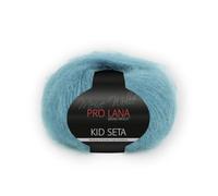 Pro Lana Pro Lana Kid Seta Uni 25g (65)