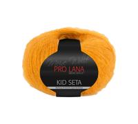 Pro Lana Pro Lana Kid Seta Uni 25g - Preishit (23)
