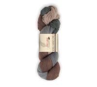 PRO LANA Soul Handdye, 50% Merino, 20% Polyamid, 15% Mohair,15% Seide, 400m/100g, Fb. 85