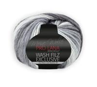 PRO LANA Wash-Filz Exclusive - Farbe: Grau (06) - 100 g/ca. 100 m Wolle