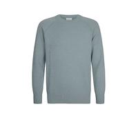 PROFUOMO Pullover blau | L