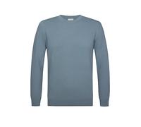 PROFUOMO Pullover blau | L