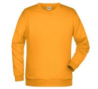 Promo-Sweat Men, Sweatshirt | gold-yellow | L