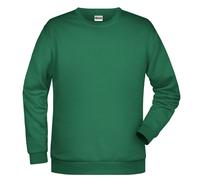 Promo-Sweat Men, Sweatshirt | irish-green | 5XL
