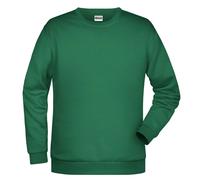 Promo-Sweat Men, Sweatshirt | irish-green | M