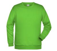 Promo-Sweat Men, Sweatshirt | lime-green | L