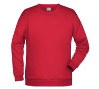 Promo-Sweat Men, Sweatshirt | red | XL