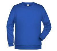 Promo-Sweat Men, Sweatshirt | royal | 3XL