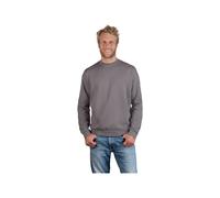 promodoro® Sweatshirt 2199FNW, new light grey, Größe L (Arbeitshemd & Arbeitsshirt)
