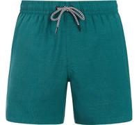Dark Teal Protest Davey Swimming Shorts Grün,Blau S Mann