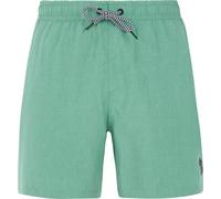 Protest Davey Beachshort Herren | FROSTY GREEN | S