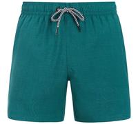 Protest Davey Herren Badehose, grau XL