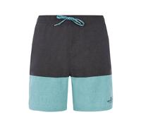 Protest Freddie Beachshort arcticgreen