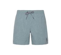 Arctic Green Protest Davey Swimming Shorts Blau L Mann