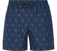 Protest Herren Badeshorts PRTALVIS