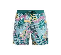 Protest Rayger Swimming Shorts Blau XL Mann