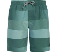 Protest - James JR Beachshorts Jungen dark seal