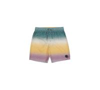 PROTEST Jungen Badeshorts PRTChopper JR bunt | 128