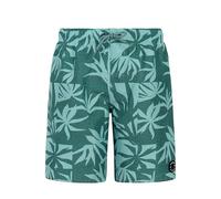 Protest William Swimming Shorts Grün 164 cm Junge